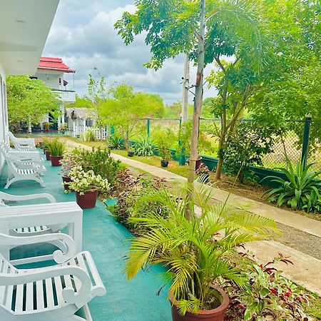 New Peacock Resort Dambulla Exterior foto